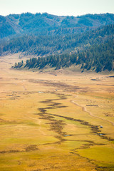 Xinjiang Kanas grassland scenery