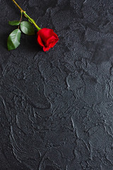 Red rose on a black background, stone. A condolence card. Empty space for emotional, quotes or sayings. The view from the top.