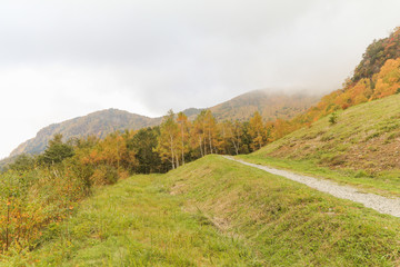 Beautiful  view of Japan autumn in Obuse park ,Nagano Prefecture,Japan.