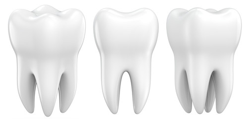 Set of dental premolar teeth 3d models as a concept of dental examination teeth, dental health and hygiene. 3d rendering illustration isolated on white background.