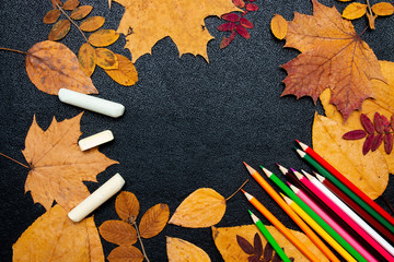 dry autumn yellow leaves, colored carnady and chalk on a black background copy space flat lay top view paint autumn colors autumn
