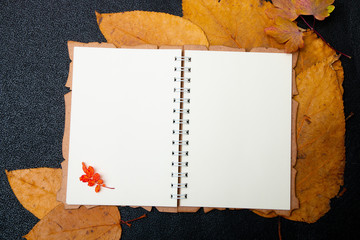 empty notebook on a dry auturm sheets yellow colors red orange nature b;ack background top view copy space to-do list