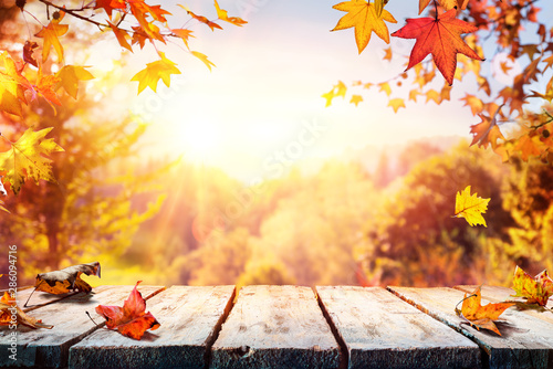 Autumn Table With Red And Yellow Leaves And Forest Background