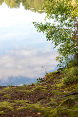 Reflection in the water of a cloud in a forest lake.