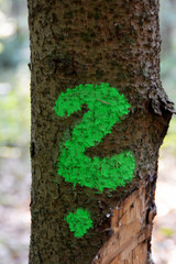 grünes Fragezeichen an einem Baum, Symbol, ?