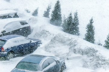 Snow-covered cars and trees during a snowstorm in winter