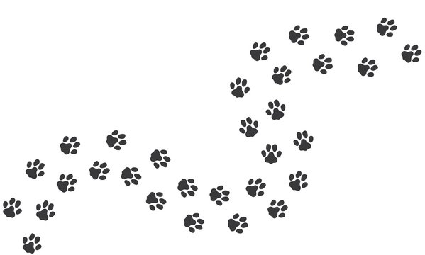 Cat footprints. Cats or dogs travel footprints. Black domestic animals paw prints isolated on white background. Vector illustration. Cat and dog, animal footprint silhouette