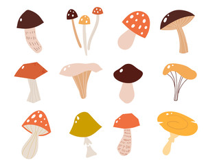 Set of mushrooms in a flat style. Vector illustration of different types of mushrooms.