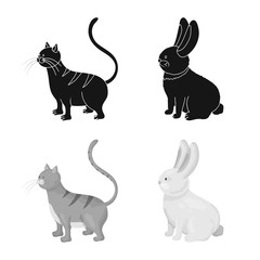 Obraz premium Vector illustration of breeding and kitchen sign. Set of breeding and organic vector icon for stock.