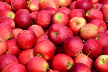 Apfel - rote Äpfel - Apfelernte - Hintergrund und Textur