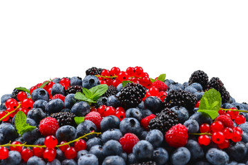 Blackberry, raspberry, blueberry,  red currant and mint background. Isolated on white. Copy space.