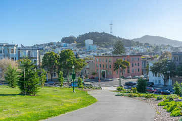 Naklejka premium Day view of lush green tree at Alamos Square in San Francisco, CA 