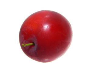 plum isolated on white background