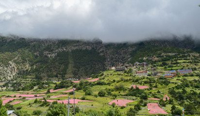 Fototapeta na wymiar Rural village with colorful plantation