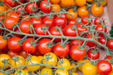 Orange, Red and Yellow Cherry Tomatoes