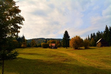 a wooden cottage among trees