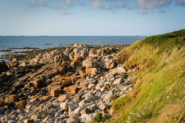 Plage de rochers à marée basse