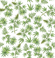 Naklejka na ściany i meble Cannabis Hand-drawn Leaves Seamless Pattern