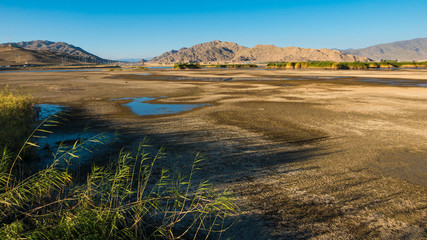 Xinjiang Coco Suri Scenic Area Autumn scenery