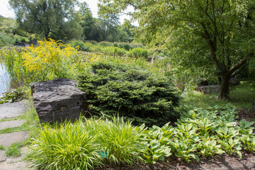 Beautiful green landscapes of the Polish botanical garden: trees, shrubs, flowers of different species on a sunny summer day, landscape design of plants and stones.