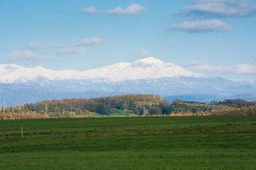 Fototapeta na wymiar 緑の草原と冠雪の山並み　大雪山