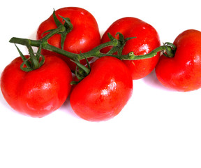 tomatoes isolated on white background