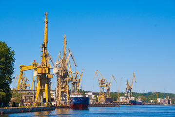 Żurawie w Szczecinie nabrzeże stocznia przemysł stoczniowy budowa statków transport przeładunek lato - obrazy, fototapety, plakaty