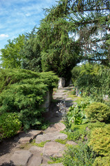 Naklejka premium Beautiful green landscapes of the Polish botanical garden: trees, shrubs, flowers of different species on a sunny summer day, landscape design of plants and stones.