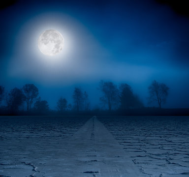 Moon over a foggy treeline and a cracked earth road.