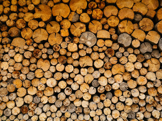 A large number of chopped wood. Wood harvesting for the winter