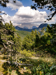 Paysages des Alpes-de-Haute-Provence, France