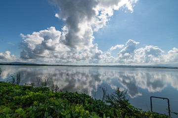 Fototapeta premium 干拓地の風景