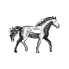 Illustration of the running horse.