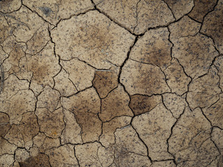 Cracked earth from drought. Cracks in the brown earth