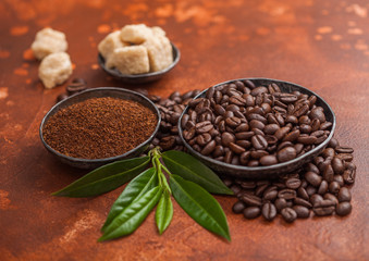 Fresh raw organic coffee beans with ground powder and cane sugar cubes with coffee trea leaf on light brown background.
