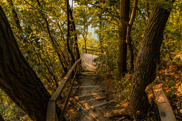 moody atmospheric early autumn forest scenic landscape view with wooden stairway from above to terrace cozy place between trees with yellow and brown leaves  