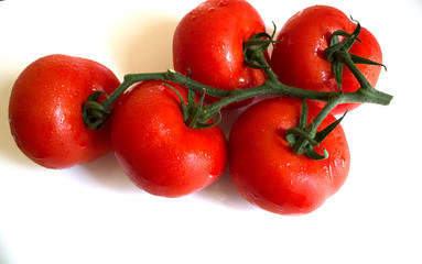 tomatoes isolated on white background
