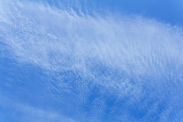 Obraz premium background - blue sky with cirrocumulus clouds