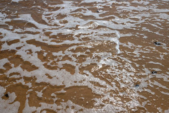 sea foam water beach sand