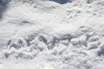 Fresh white snow background texture, Winter season concept.