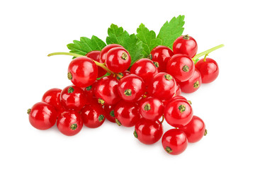 Red currant berries with leaf isolated on white background