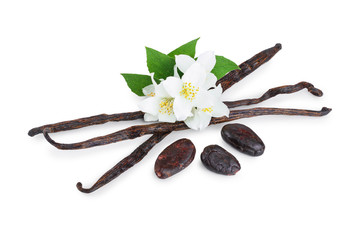 Vanilla sticks with cocoa bean isolated on white background