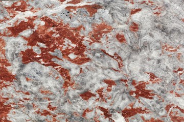 Surface of a red and grey limestone of Devonian age