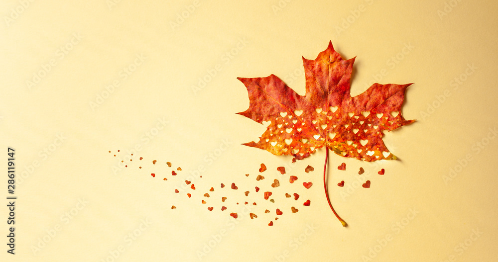 Wall mural creative autumn concept with heart cut from natural red maple leaf. flat lay, copy space.