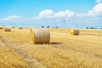 Straw bales of wheat. Straw bales in the beatiful field. haystacks lying on the field. farmland. Farmer concept. Beatiful landscape photo. bales after harvest on the field. summer day