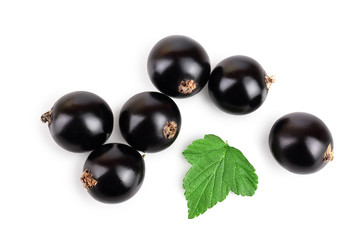 black currant with leaf isolated on white background. Top view. Flat lay pattern