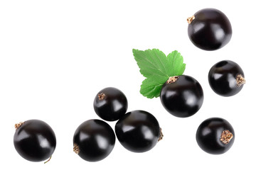 black currant with leaf isolated on white background. Top view. Flat lay pattern. With space for your text