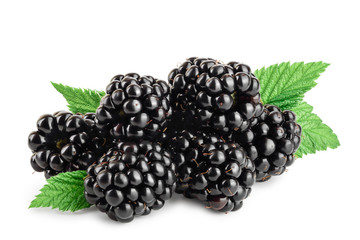 blackberry with leaf isolated on a white background closeup