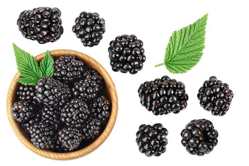 blackberry with leaf isolated on a white background closeup