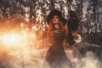 devil witch with raven